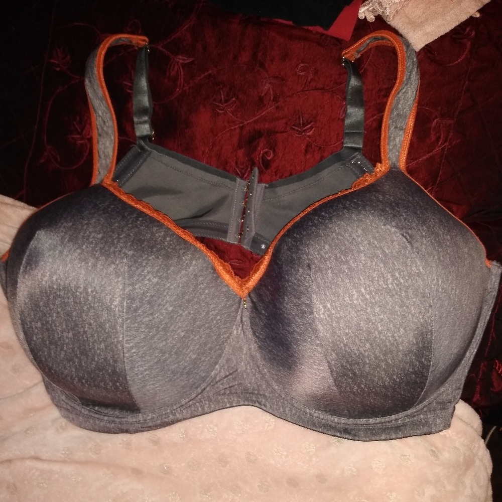 Ashley Stewart Butterfly Bra size 46G